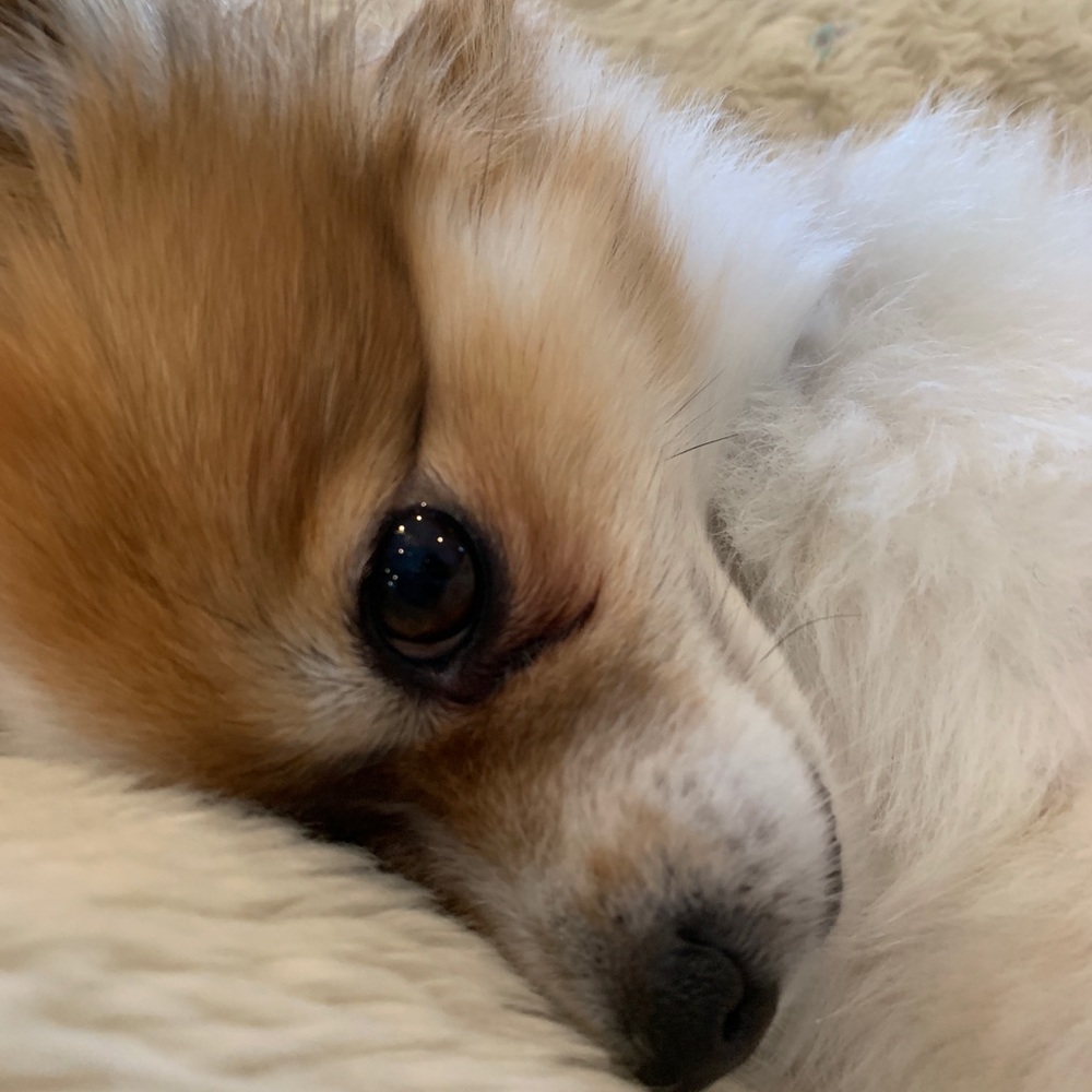 Meet your Posher, Sandra